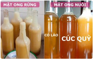 Cách phân biệt mật ong rừng và mật ong nuôi